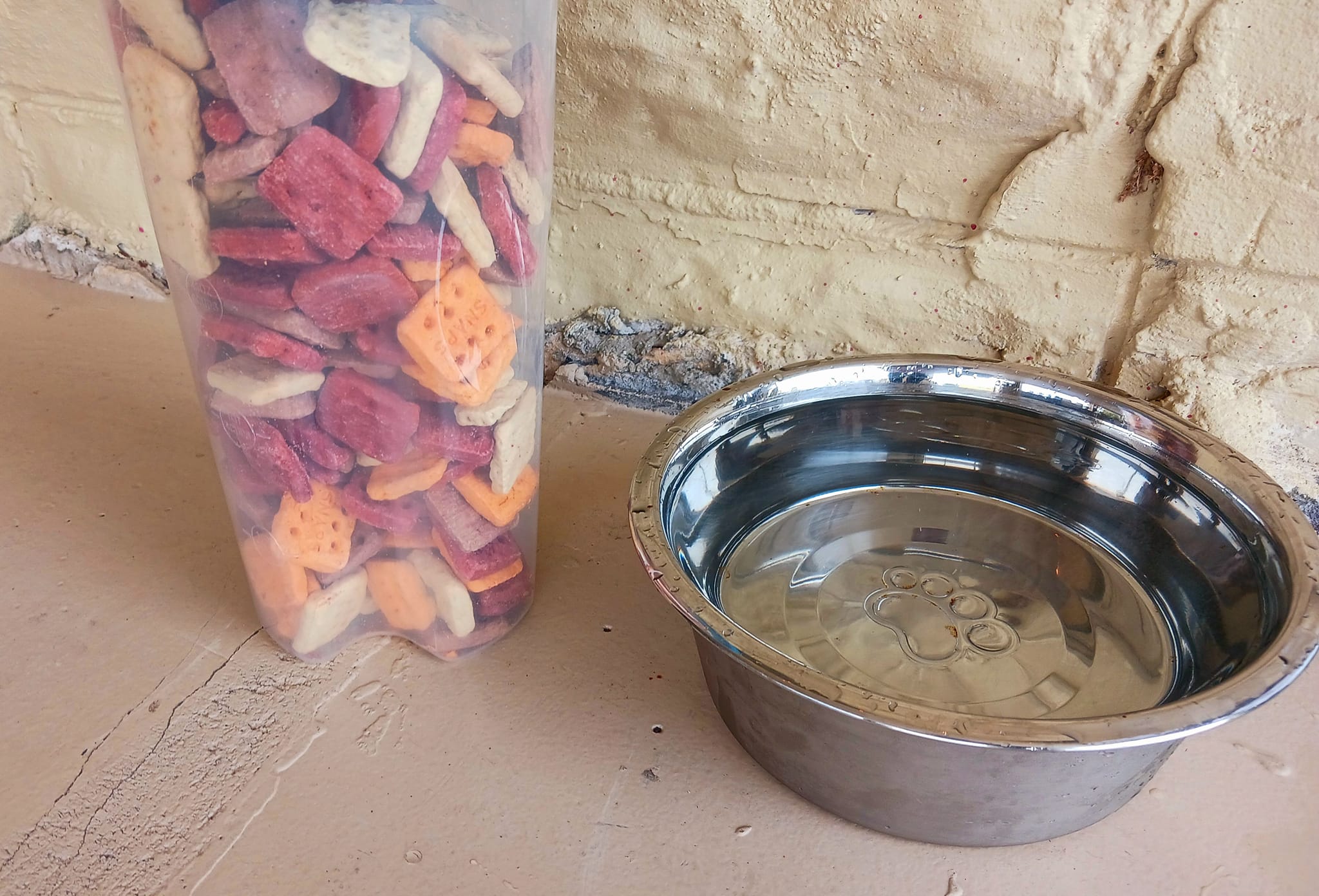 Zest Bar and Grill Offers Empanadas in Bartow, FL 33830